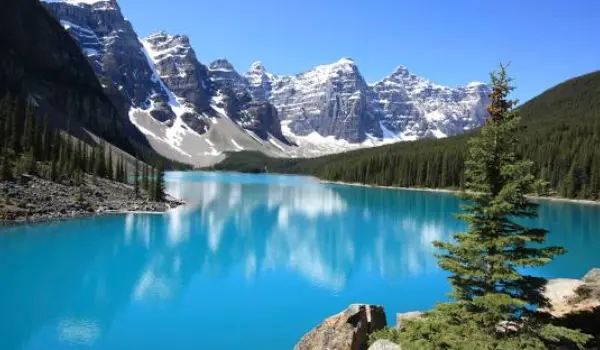 Freelance Web Design & Development Canada