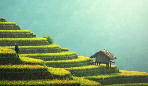Freelance Web Designer & Developer in Assam