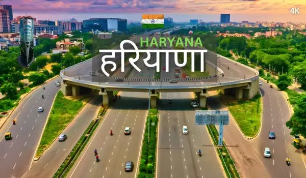 freelance website designer and developer in Haryana